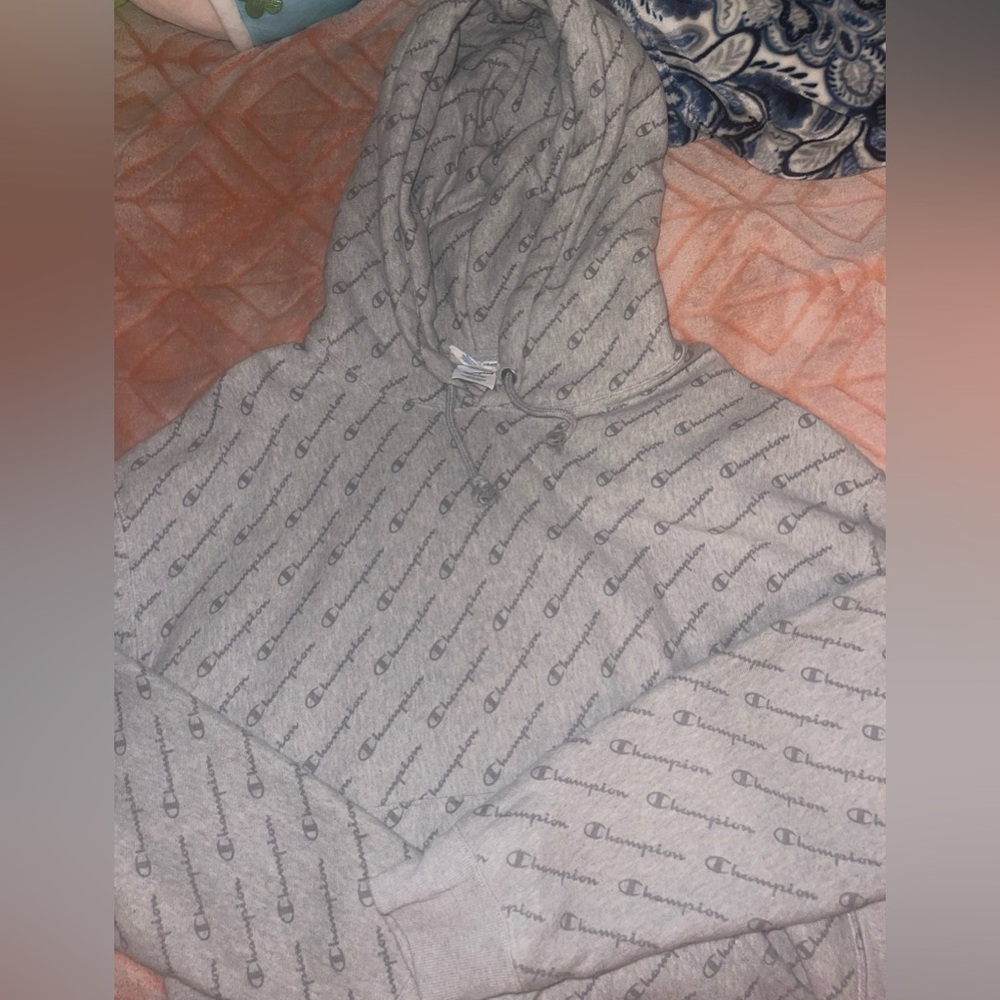 Gray Champion hoodie